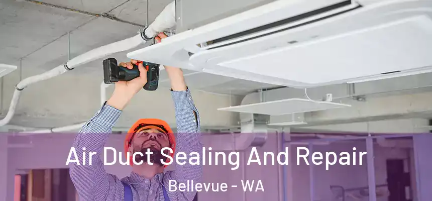 Air Duct Sealing And Repair Bellevue - WA