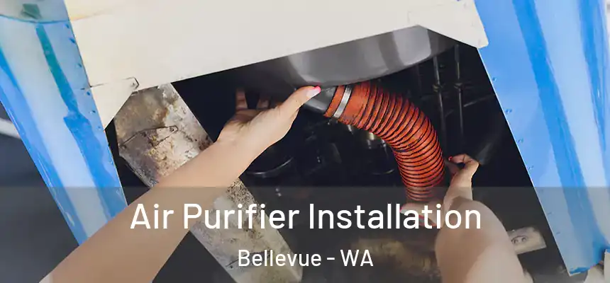  Air Purifier Installation Bellevue - WA