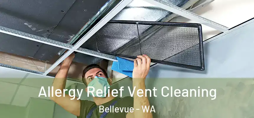  Allergy Relief Vent Cleaning Bellevue - WA