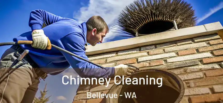  Chimney Cleaning Bellevue - WA