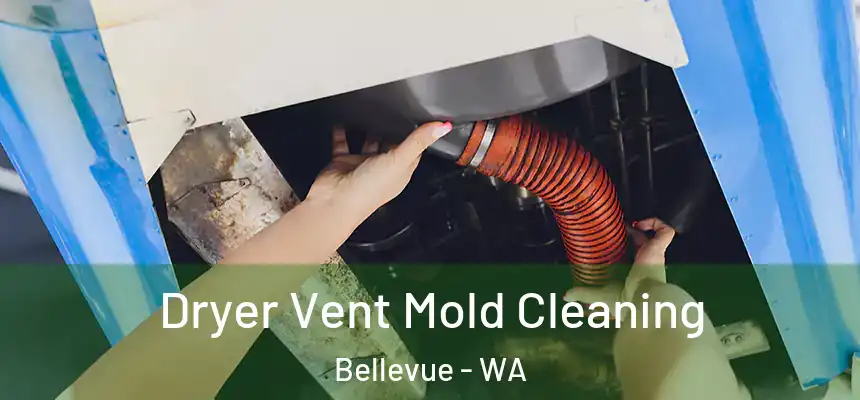  Dryer Vent Mold Cleaning Bellevue - WA
