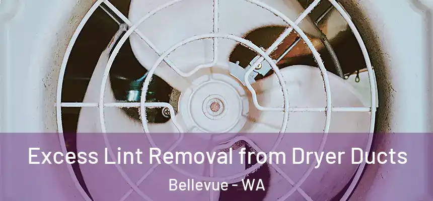  Excess Lint Removal from Dryer Ducts Bellevue - WA