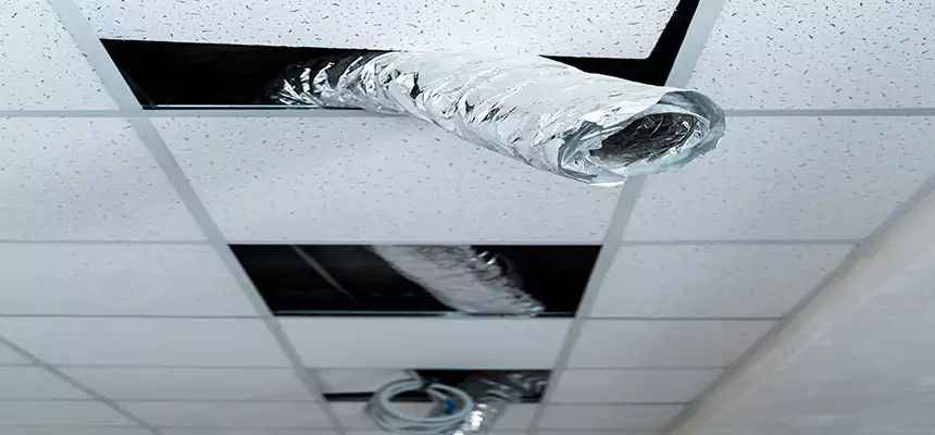 Our Air Duct Pet Hair Removal Services in Bellevue, WA