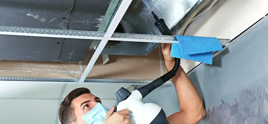 Our Air Duct Rodent Removal Services in Bellevue, WA