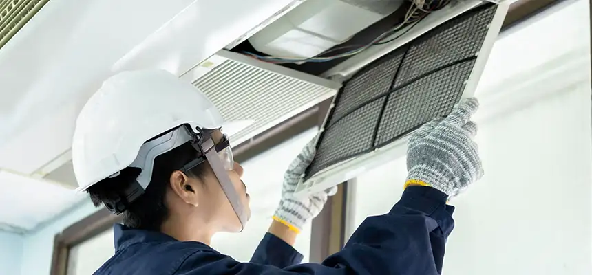 Our Lint Trap Cleaning Service Services in Bellevue, WA