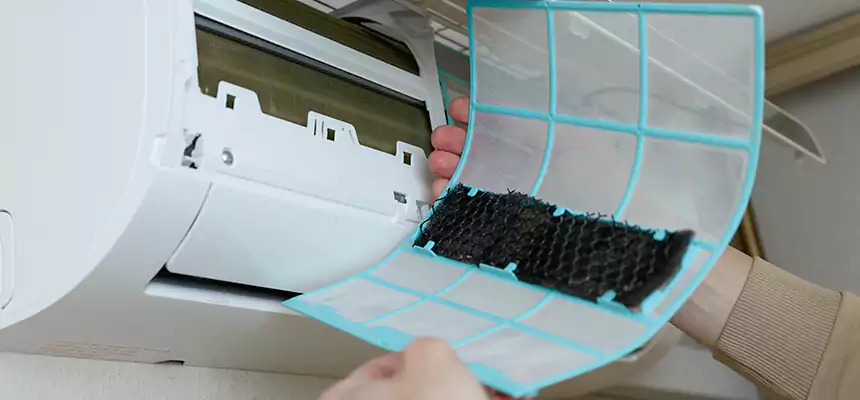 Gentle Ductwork Odor-Control Pet Dander Duct Cleaning in Bellevue, WA