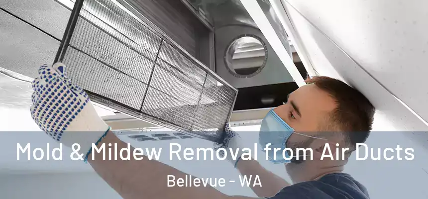  Mold & Mildew Removal from Air Ducts Bellevue - WA