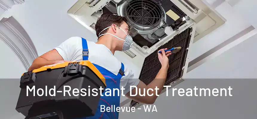Mold-Resistant Duct Treatment Bellevue - WA