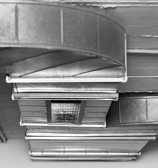 Professional Air Duct Pet Hair Removal in Bellevue, WA