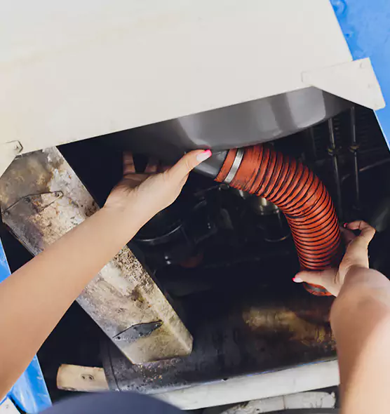 About Air Duct Virus Disinfection in Bellevue, WA