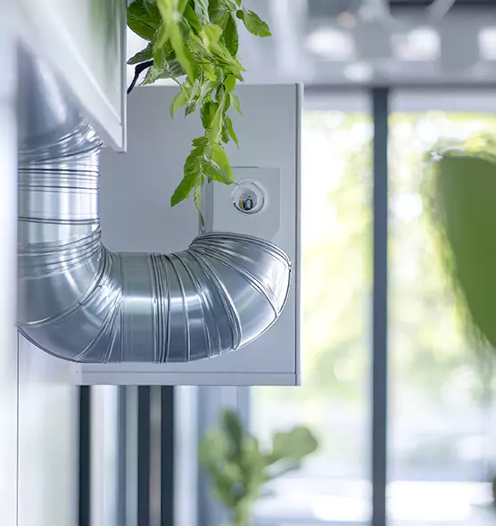 Professional Eco-Friendly Duct Cleaning Services in Bellevue, WA