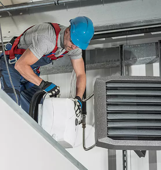 About HVAC Mold Remediation Service in Bellevue, WA