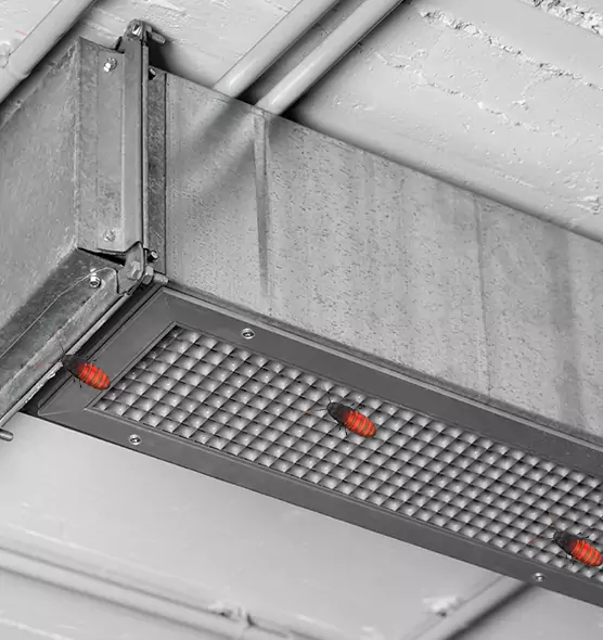 Affordable Insect Removal from Air Ducts in Bellevue, WA