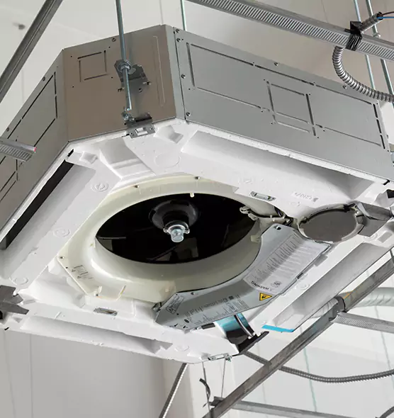 Professional Roof Vent Lint Removal Bellevue, WA