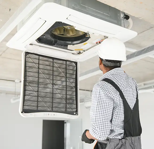 Why Homeowners & Businesses Trust Us in Bellevue, WA?