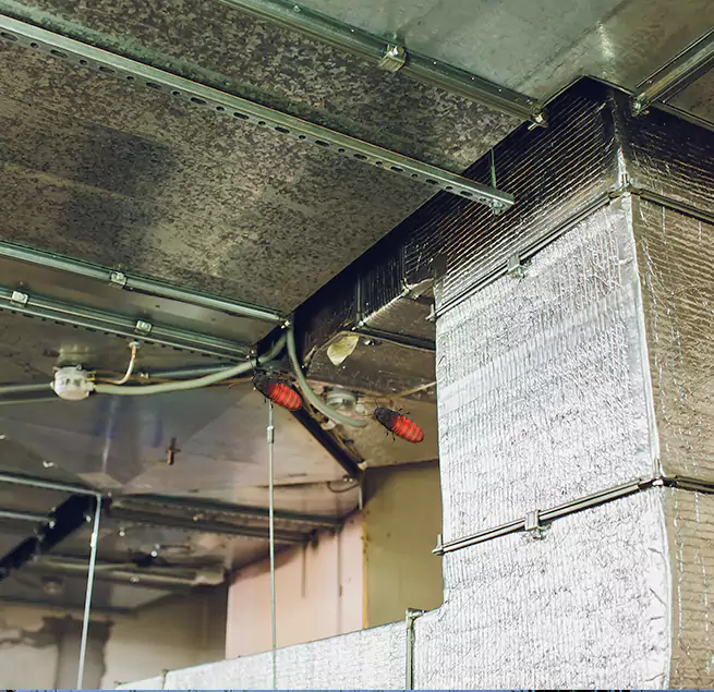 Why Homeowners & Businesses Trust Us in Bellevue, WA?