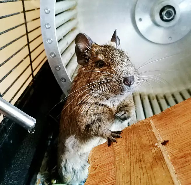 Why Homeowners & Businesses Trust Us Bellevue, WA