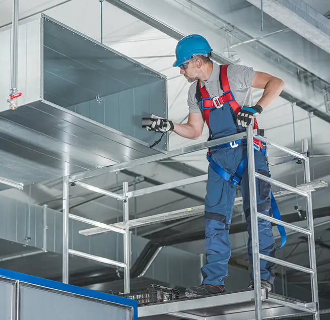 Why Homeowners & Businesses Trust Us in Bellevue, WA?