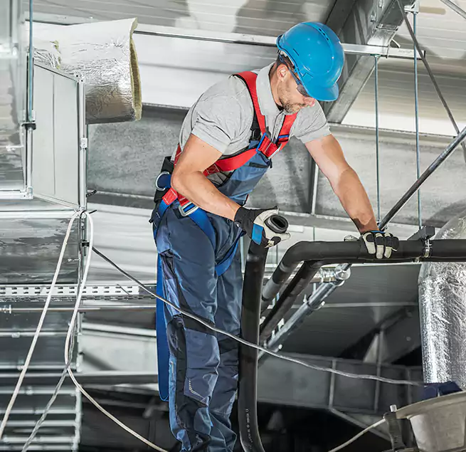 Why Homeowners & Businesses Trust Us in Bellevue, WA?