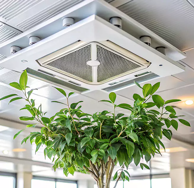 Why Homeowners & Businesses Trust Us in Bellevue, WA?