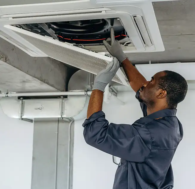 Why Homeowners & Businesses Trust Us in Bellevue, WA?