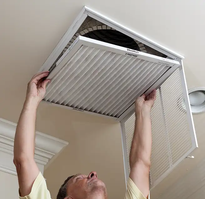 Why Homeowners & Businesses Trust Us in Bellevue, WA?