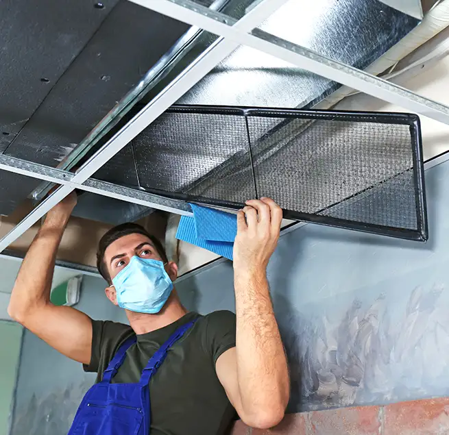 Why Homeowners & Businesses Trust Us in Bellevue, WA?