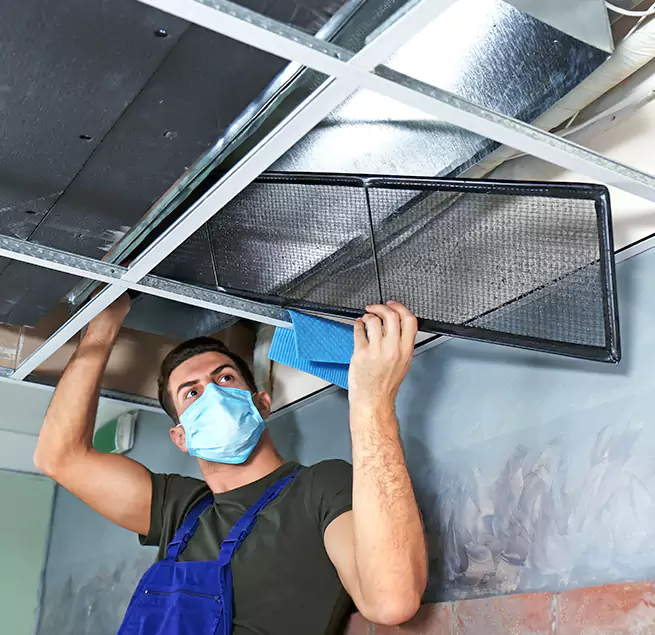  Why Homeowners Businesses Trust Us  in Bellevue, WA?