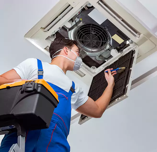 Why Homeowners & Businesses Trust Us in Bellevue, WA?